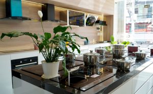 Bếp từ công nghiệp nhập khẩu 196